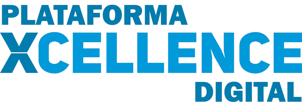 XCELLENCE & CO. Logo